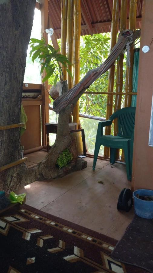 Treehouse Above The Beach Port Antonio Kültér fotó