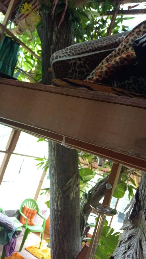 Treehouse Above The Beach Port Antonio Kültér fotó