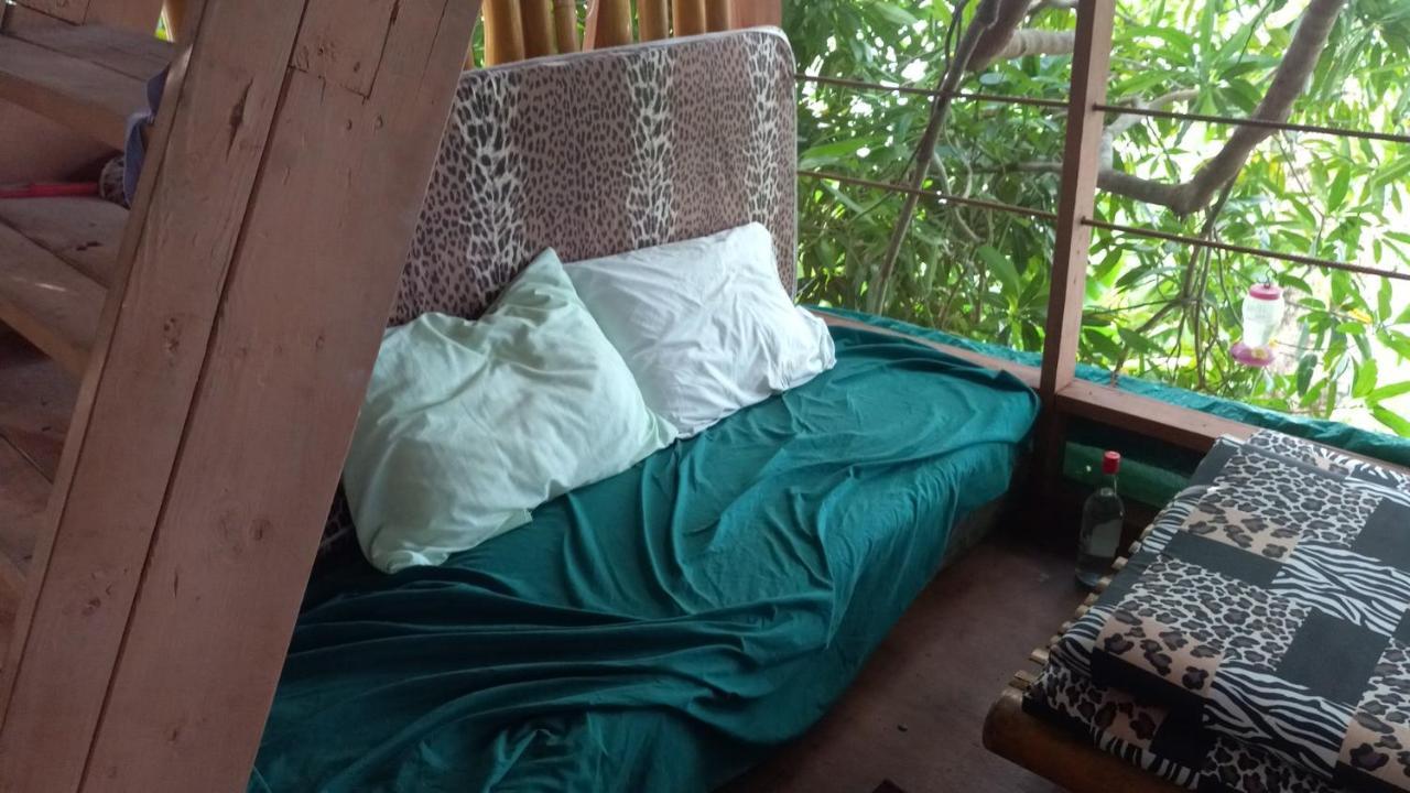 Treehouse Above The Beach Port Antonio Kültér fotó