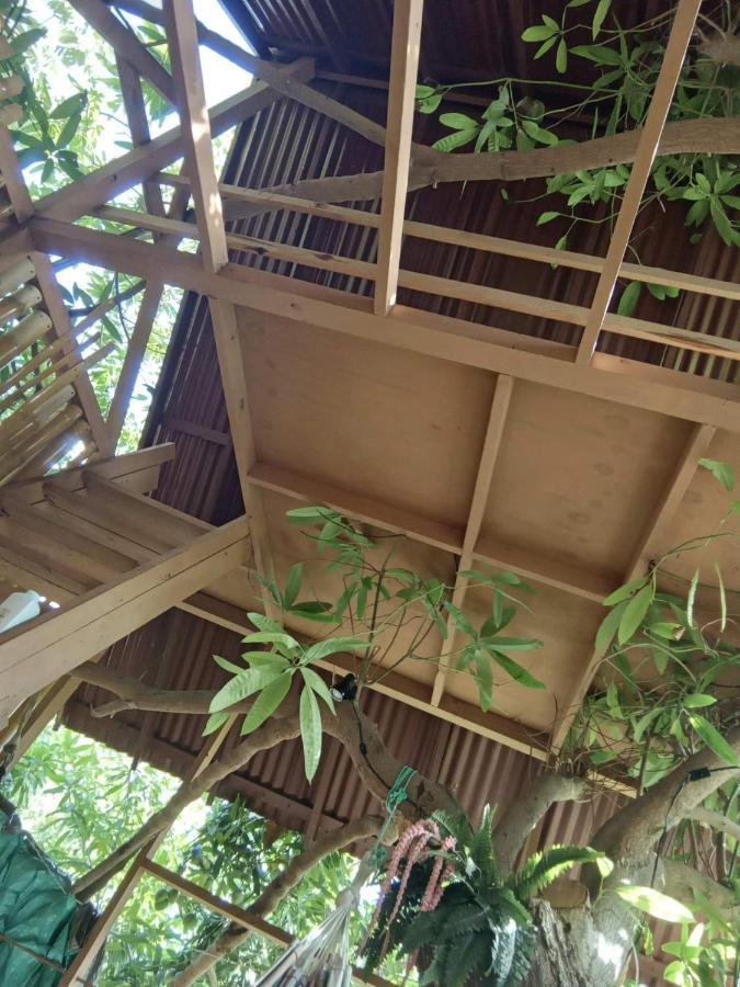 Treehouse Above The Beach Port Antonio Kültér fotó