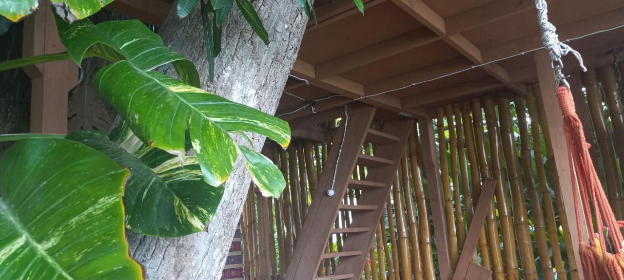Treehouse Above The Beach Port Antonio Kültér fotó