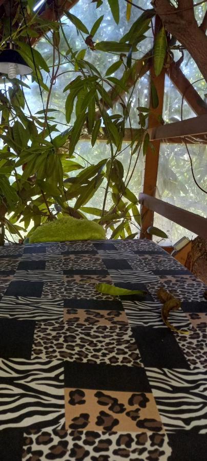 Treehouse Above The Beach Port Antonio Kültér fotó