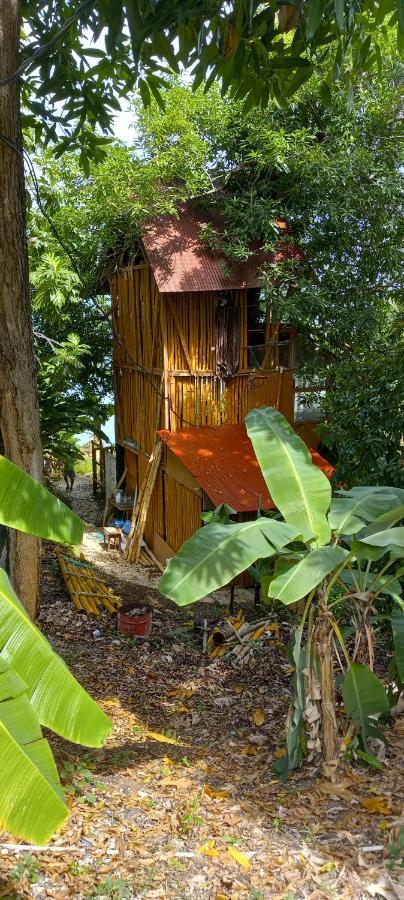 Treehouse Above The Beach Port Antonio Kültér fotó