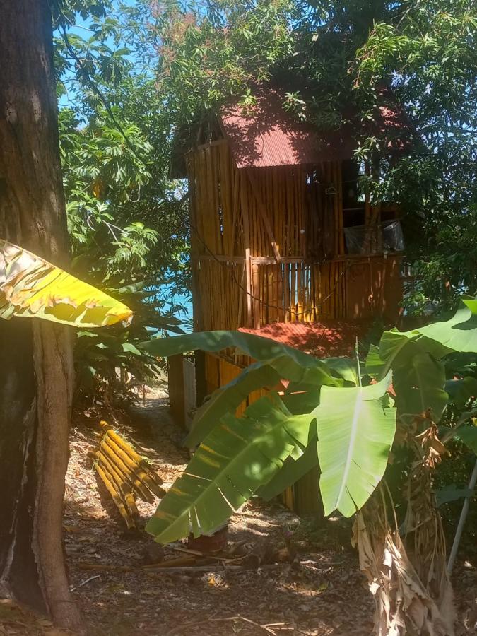 Treehouse Above The Beach Port Antonio Kültér fotó