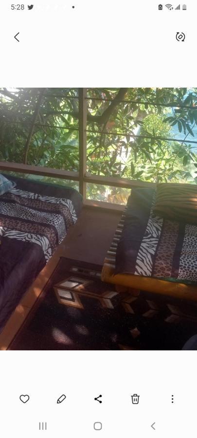 Treehouse Above The Beach Port Antonio Kültér fotó